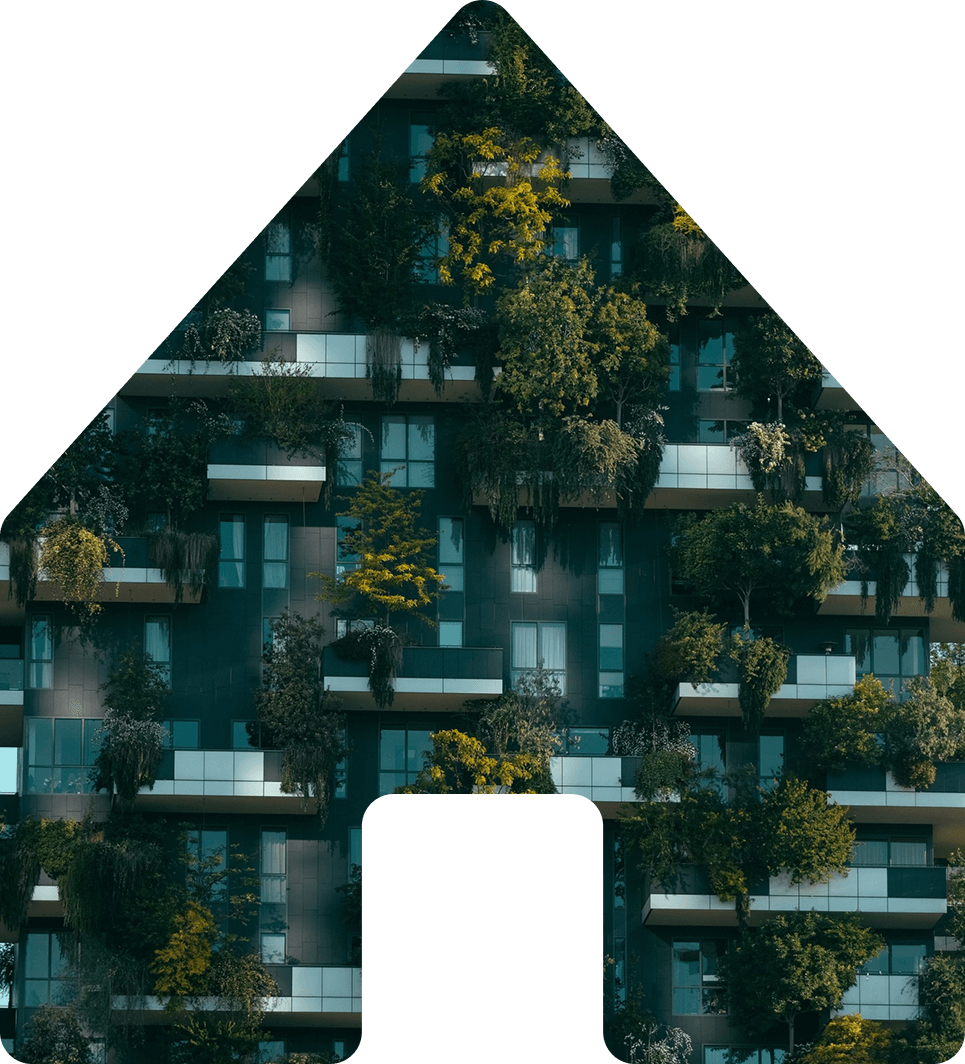 cota-segura-background-hero-comunidade-cota-segura